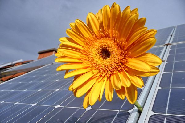 Solaranlagen für Landesgebäude in Vaihingen und Markgröningen