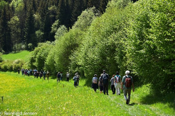 Schwäbische Alb erhält Auszeichnung als UNESCO-Biosphärenreservat